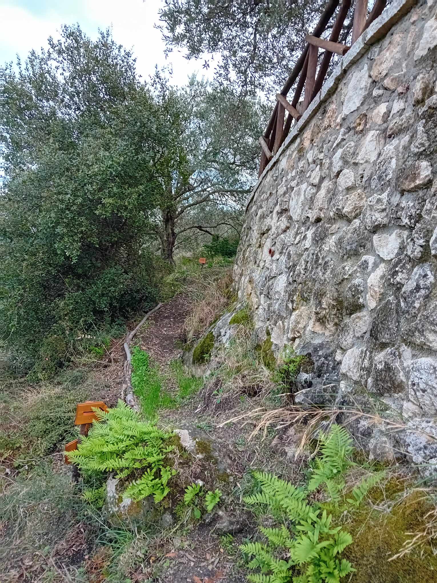Φωτογραφία 16