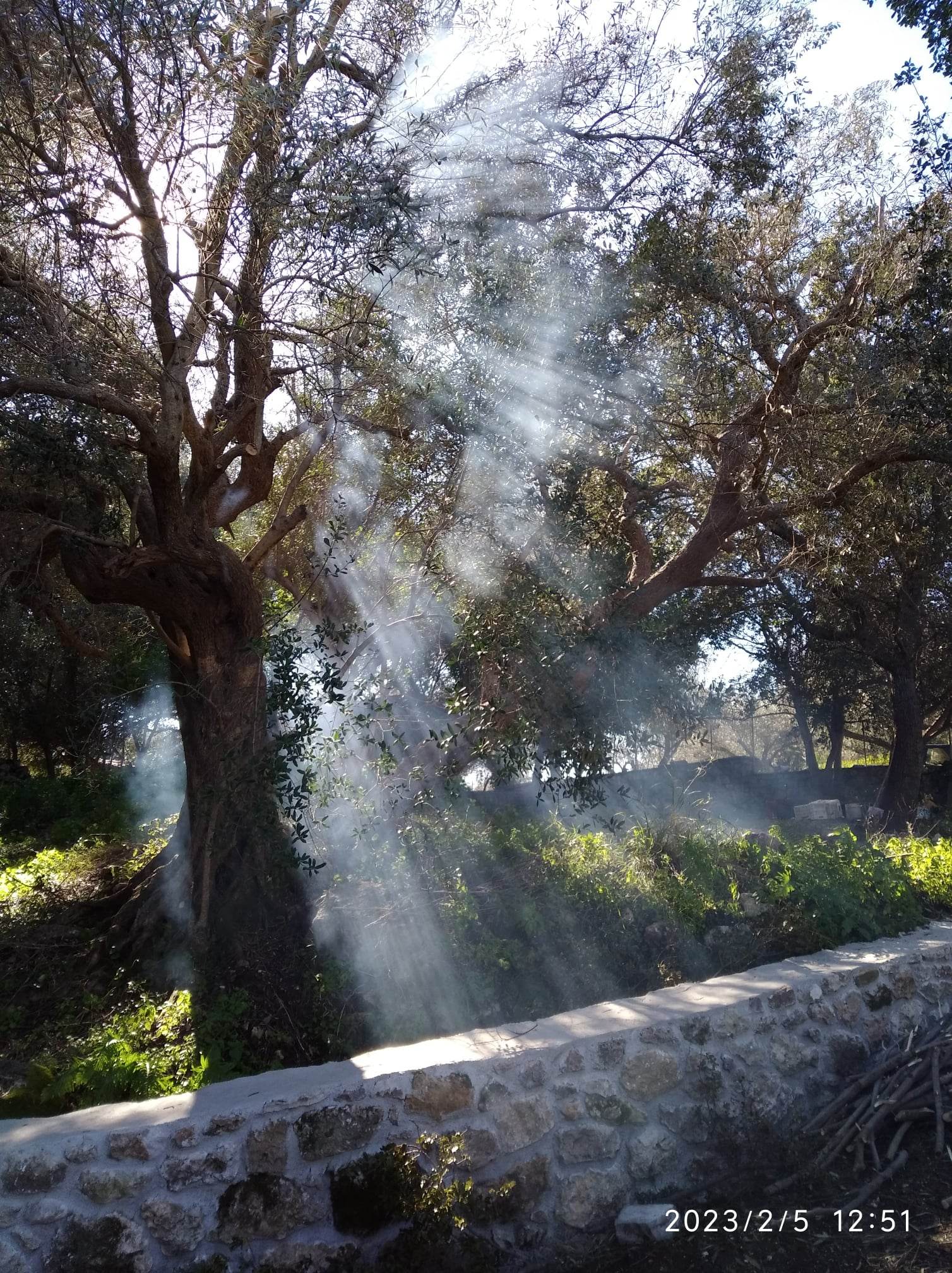 Φωτογραφία 22